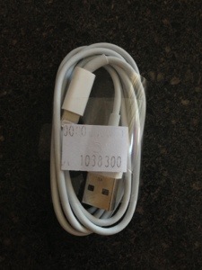 iPhone 5 Lightening cable from FastTech.com