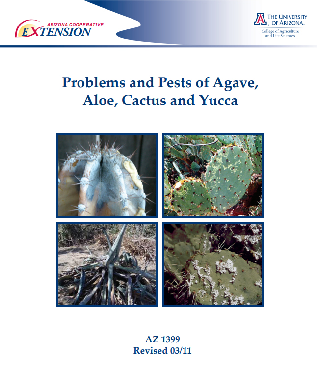 Problems and pests of Agave